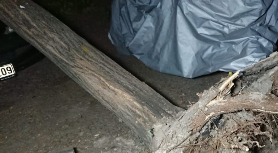 Ankara'da çatılar uçtu, ağaçlar devrildi...