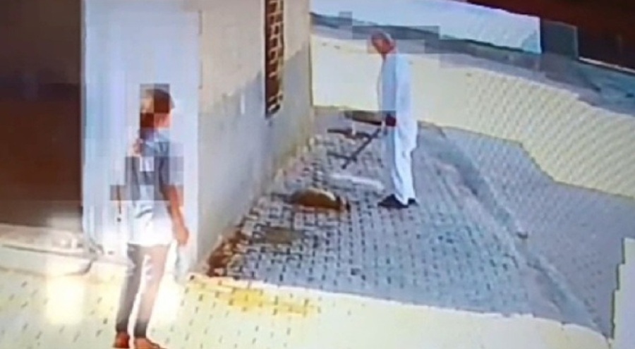 Mardin'de küçük köpeği katleden adam gözaltına alındı