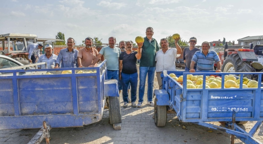Bursa Karacabey'de kavun hasadı çiftçinin yüzünü güldürdü