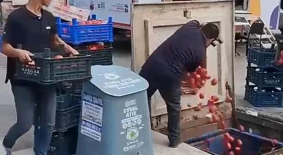 Kasalarca domatesi çöpe atmışlardı! Bakanlık harekete geçti