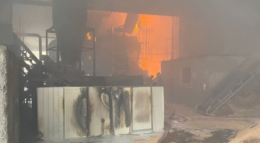 Sakarya'da fabrika yangını çıktı