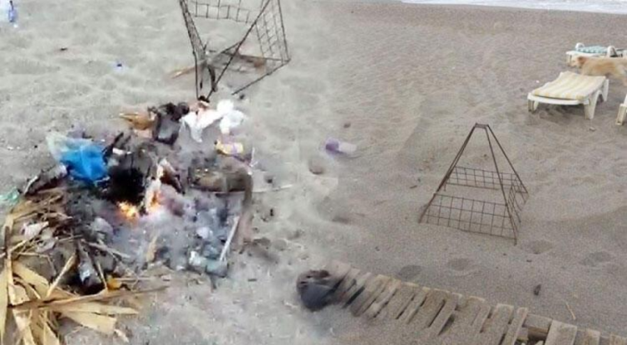 Caretta caretta yuvasında mangal yapanlara ceza!