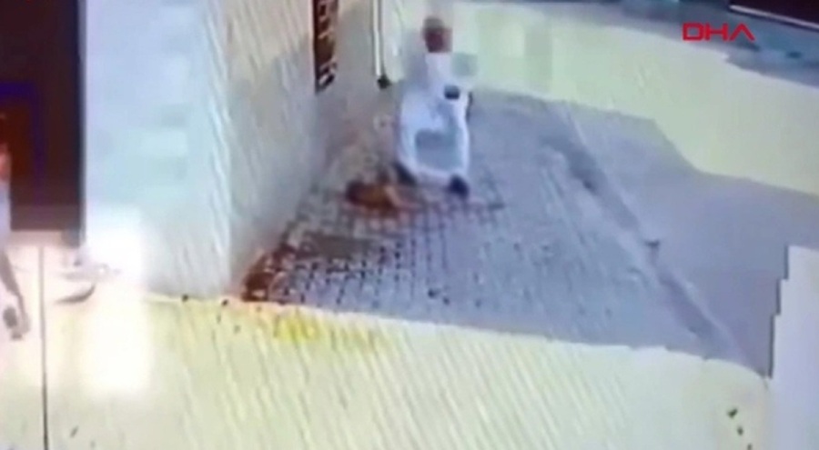 Yavru köpeğin başına defalarca demir çubukla vuran zanlı serbest kaldı!