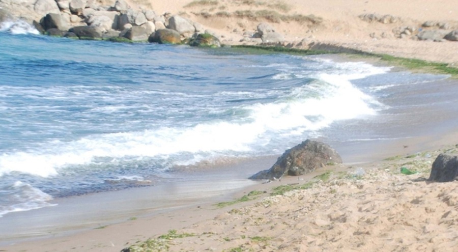 İstanbul'da o ilçede denize girmek yasaklandı!