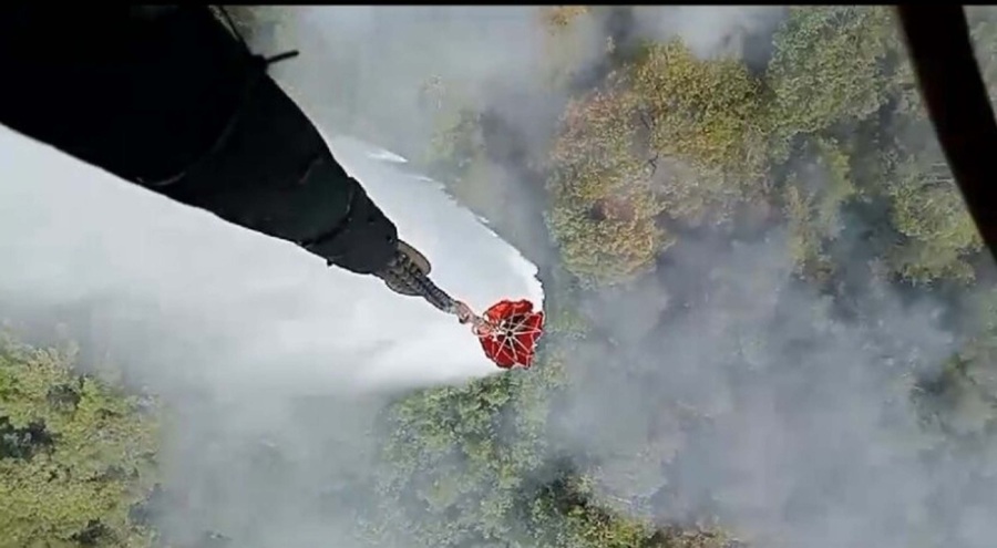 İzmir'de korkutan orman yangını!