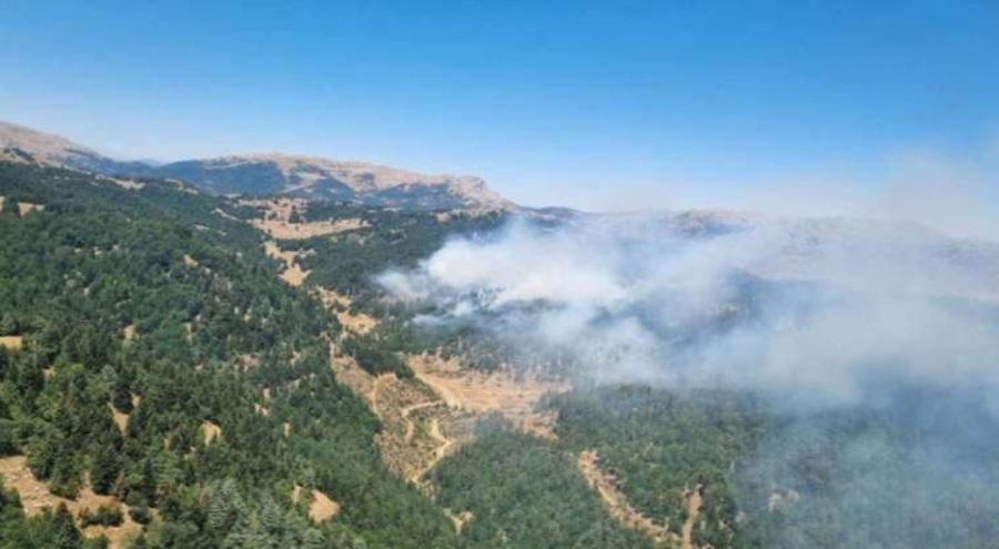 Kahramanmaraş'ta orman yangını!