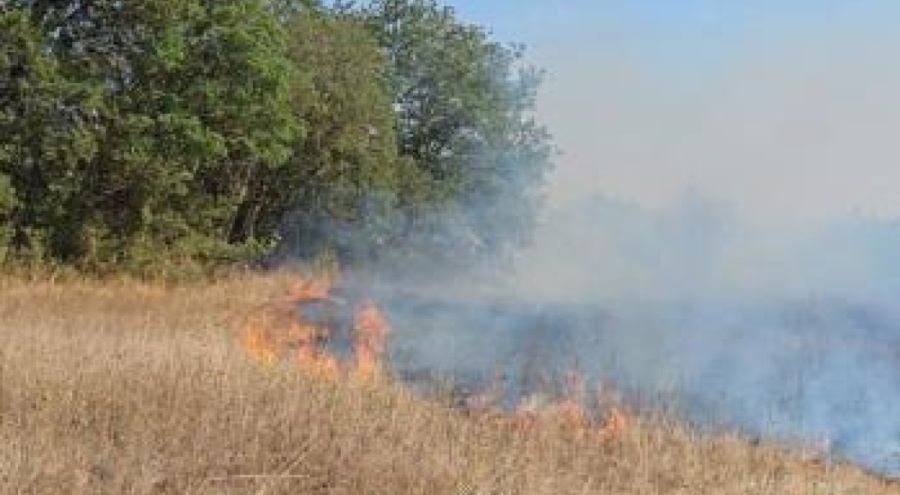 Otluk alan yangını paniğe neden oldu