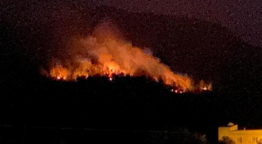 Adana'da orman yangını