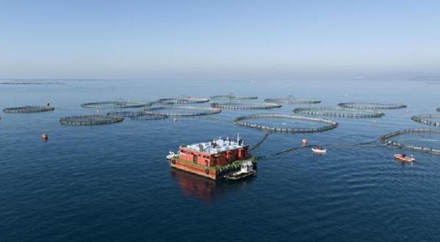 Tarım ve Orman Bakanlığı'ndan yasa dışı avcılık denetimi