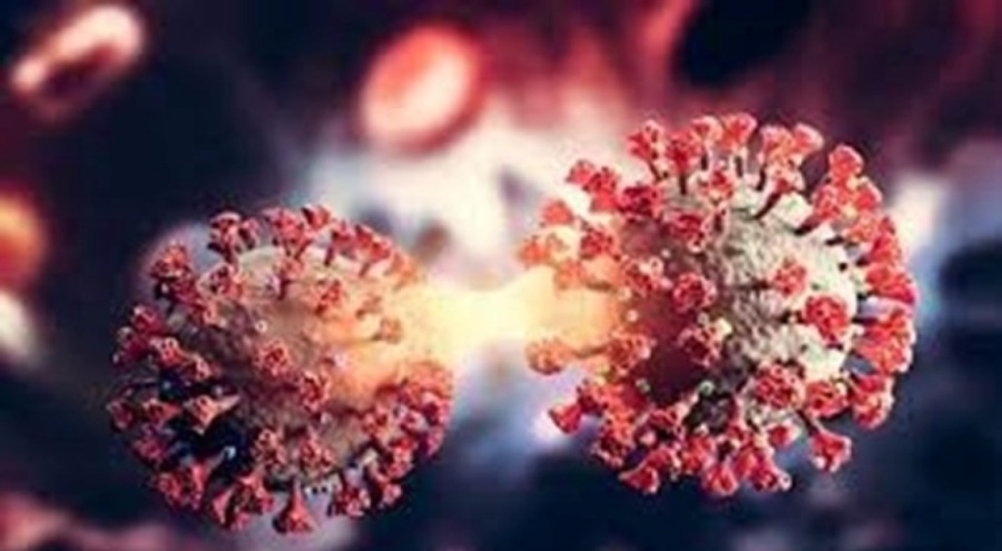 Korkutan varyant bir ülkede daha görüldü!