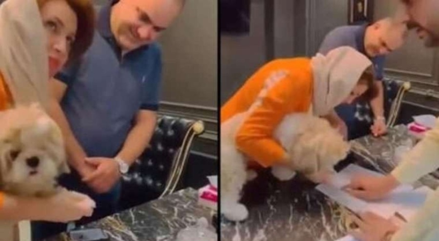 İran'da emlakçı, evi bir köpeğe devretti! Emlakçı tutuklandı