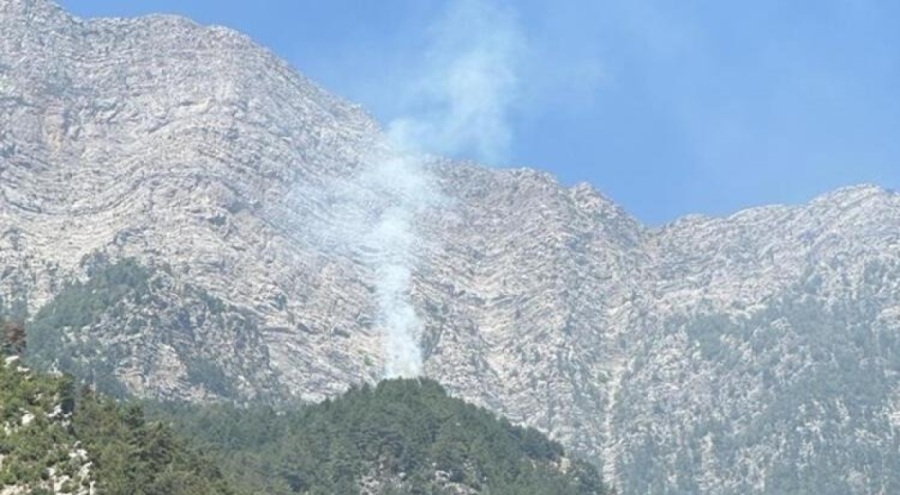 Osmaniye Düziçi'nde orman yangını