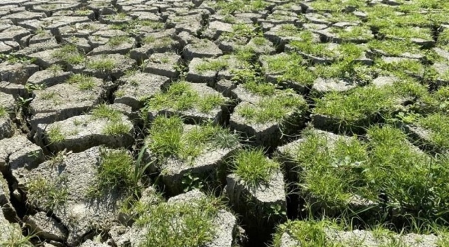 İstanbul'da Alibeyköy Barajı kuraklıkla karşı karşıya