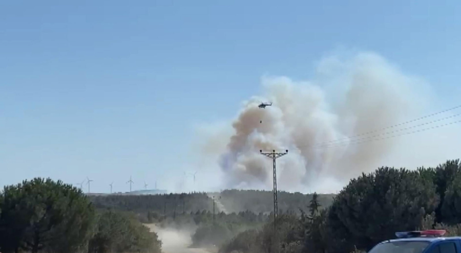 İstanbul'da orman yangını