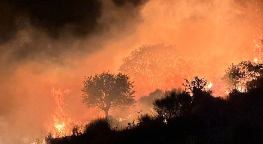 Balıkesir'e bağlı Marmara Adası'nda yangın çıktı!
