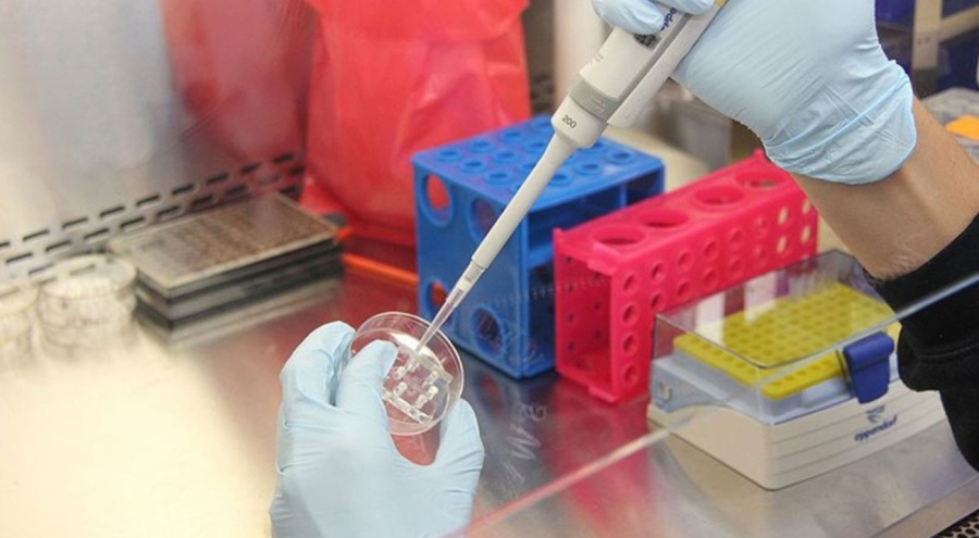 DSÖ'den yeni varyantlar karşısında "daha fazla test" çağrısı