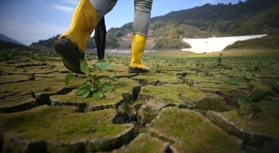 İklim değişikliği, orman yangınlarını en az iki kat olası hale getirdi