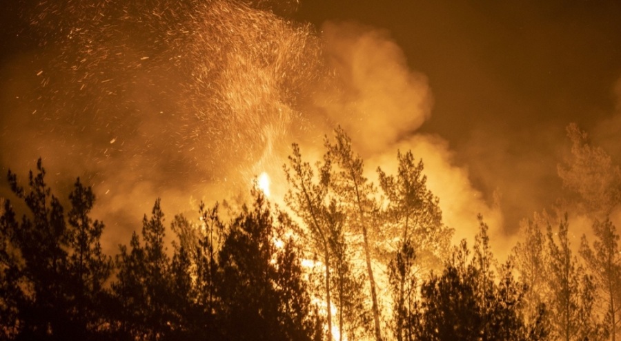 Muğla Valiliğinden "orman yangını" uyarısı
