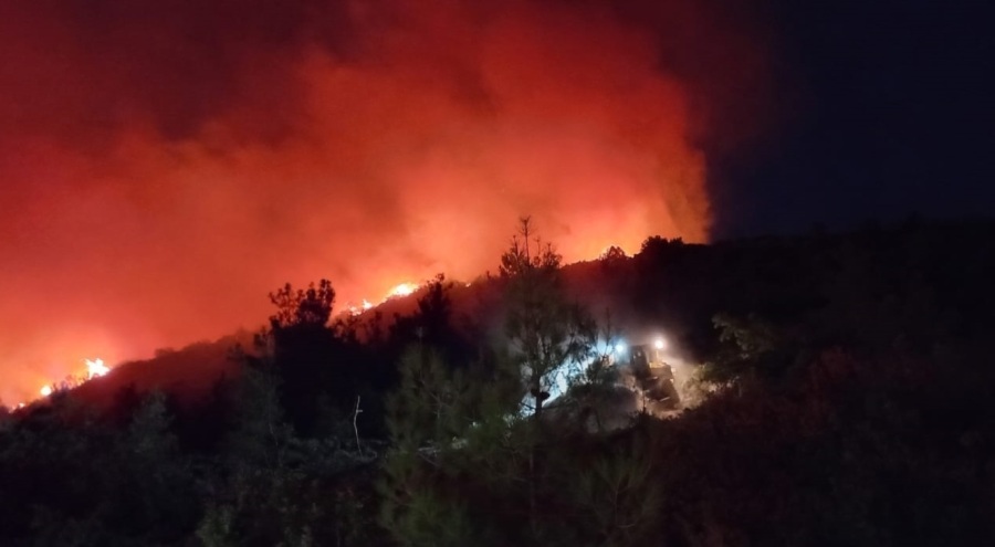 Bilecik ve Bursa'daki orman yangını kısmen kontrol altına alındı