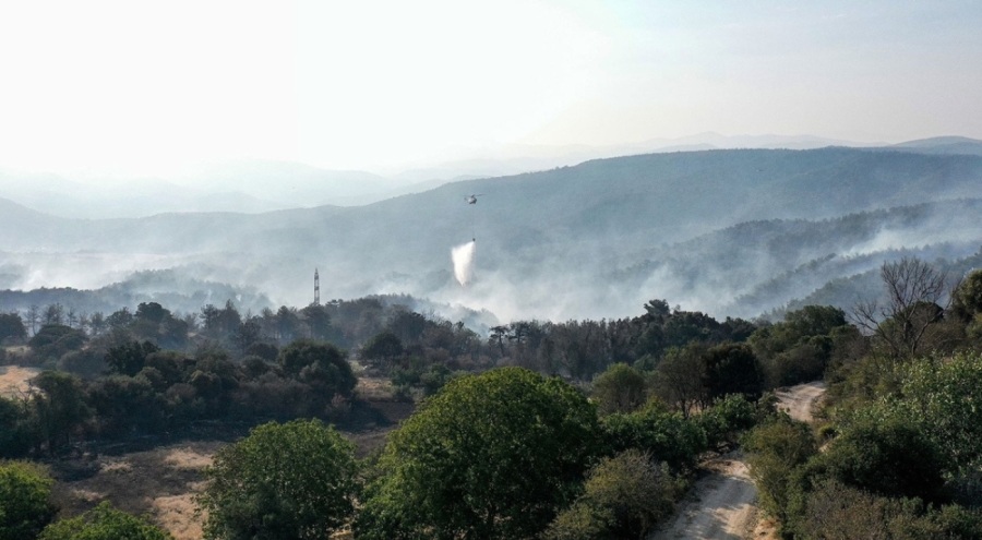 Bakan Koca'dan Çanakkale'deki yangına ilişkin açıklama