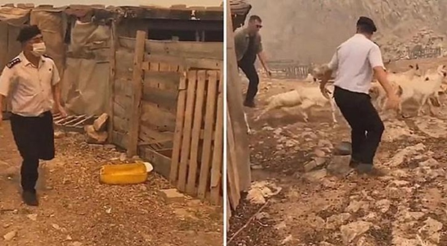 Çanakkale'de Albay Türkdönmez'in mücadelesi herkesi duygulandırdı