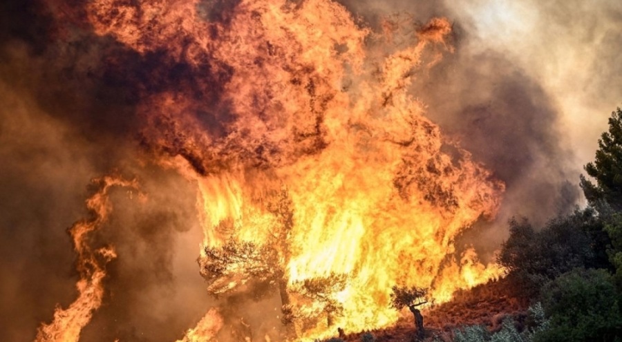 Yunanistan'da yangınların 5'inci günü: Alevler kontrol altına alınamıyor