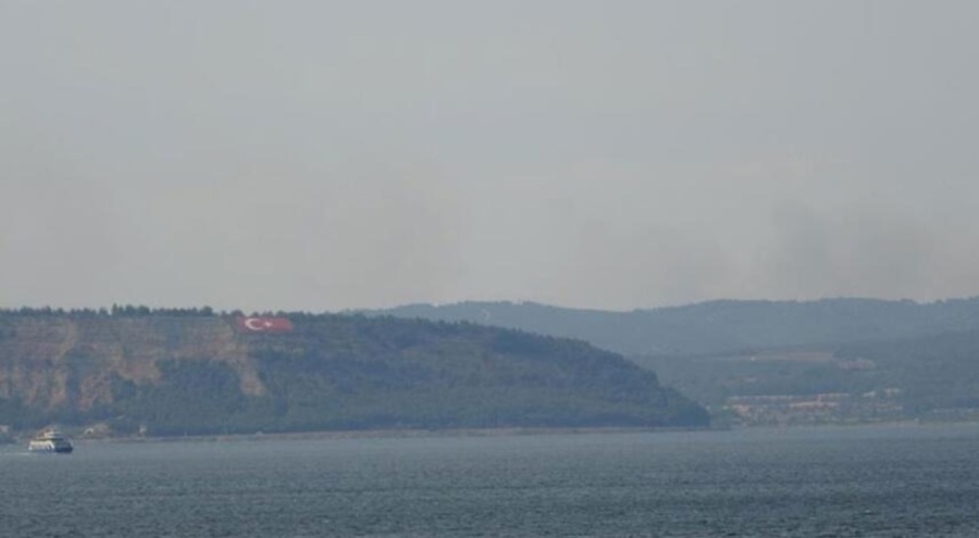 Gelibolu Yarımadası'nda yangın çıktı