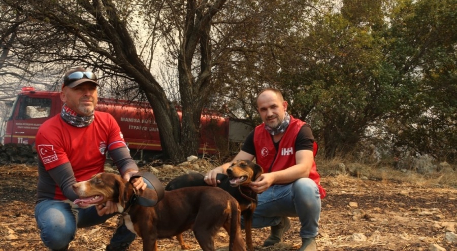 İHH gönüllüleri Çanakkale'deki yangında mahsur kalan 2 köpeği kurtardı