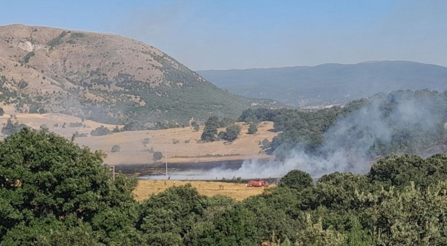 Tokat'ta arazide çıkan yangın paniğe yol açtı!