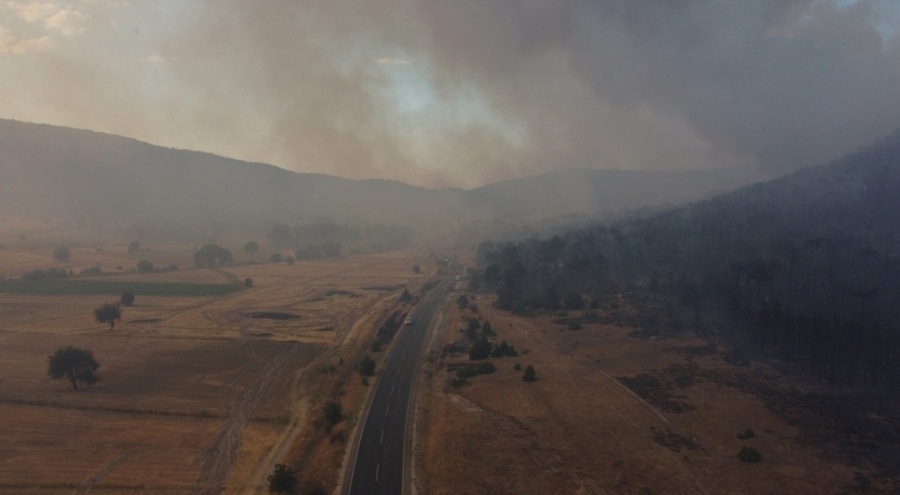 Vali Aksoy'dan açıklama: Yaklaşık 300 hektarlık alan zarar gördü