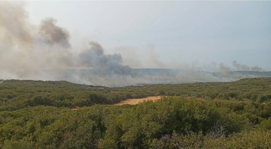 Gelibolu Yarımadası yangınına ilişkin 1 kişi gözaltına alındı
