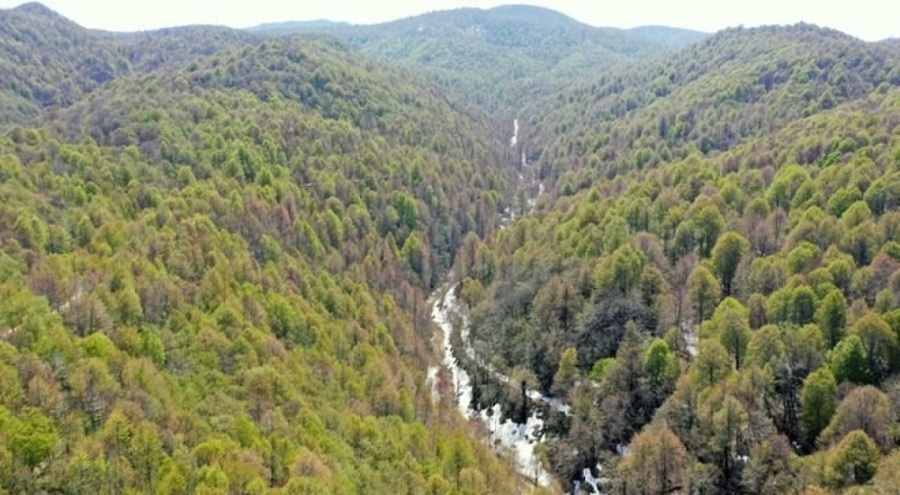 Kocaeli'nde ormanlık alanlara girişler yasaklandı