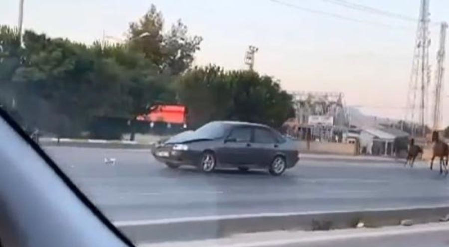 Bursa'da çevre yolunda başıboş at otomobile çarptı