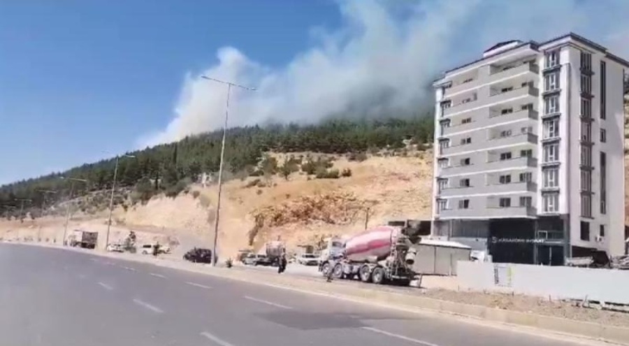 Kahramanmaraş'ta yangın paniği!