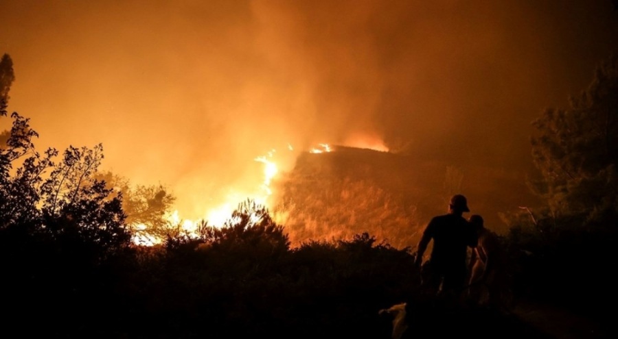 Çanakkale'deki yangında hayvanları kurtarmak için canını hiçe saydı