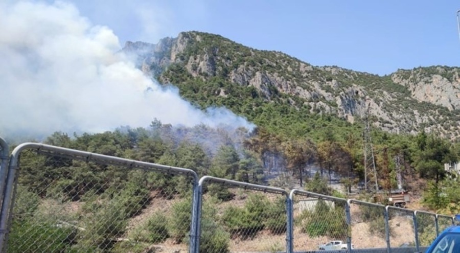 Bilecik'te orman yangını