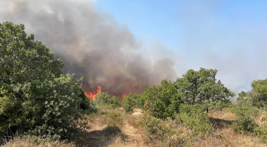 Çanakkale'de ağaçlık alanda yangın