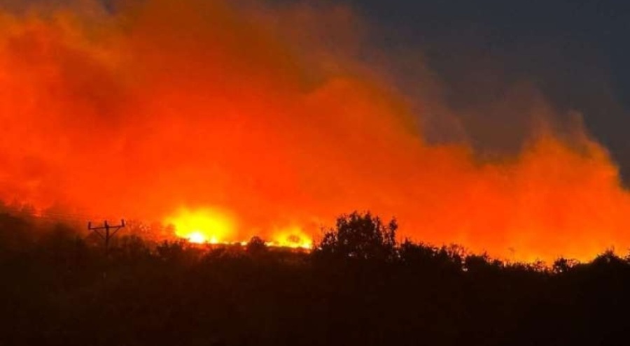 Diyarbakır'da orman yangını!