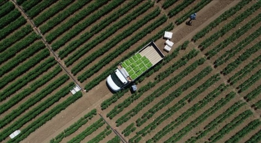 Bakan Yumaklı açıkladı: Tarımsal destekleme ödemeleri bugün yatırılacak