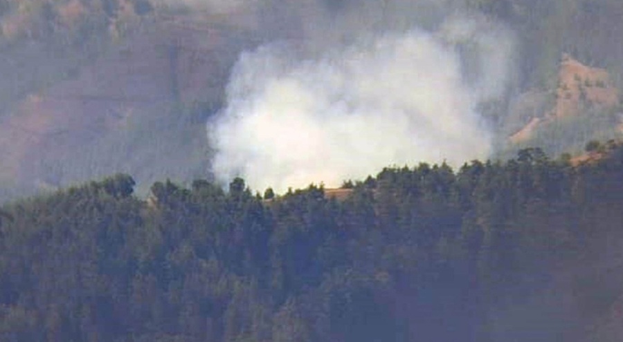 Adana'da orman yangını!