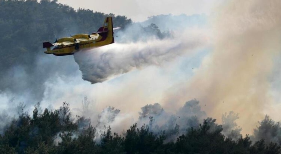 Yunanistan'da orman yangınına ilişkin 140 kişiye gözaltı