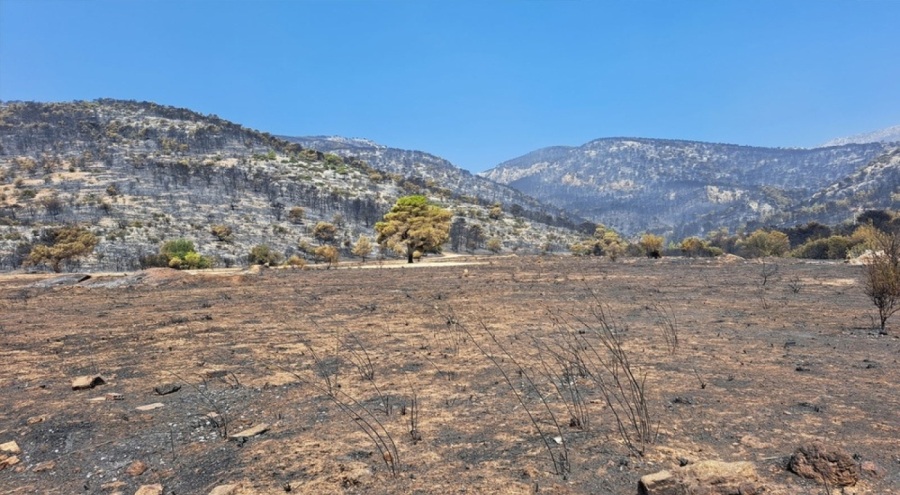 Yunanistan'daki yangında yanmış ceset bulundu!