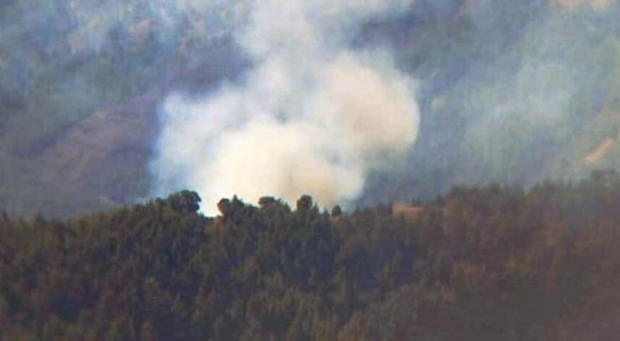 Adana'daki orman yangını söndürüldü