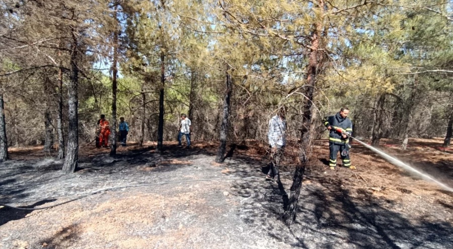 Gaziantep'te piknik alanında çıkan yangın kontrol altına alındı