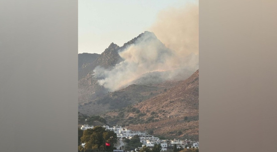 Bodrum'da makilik alanda yangın!