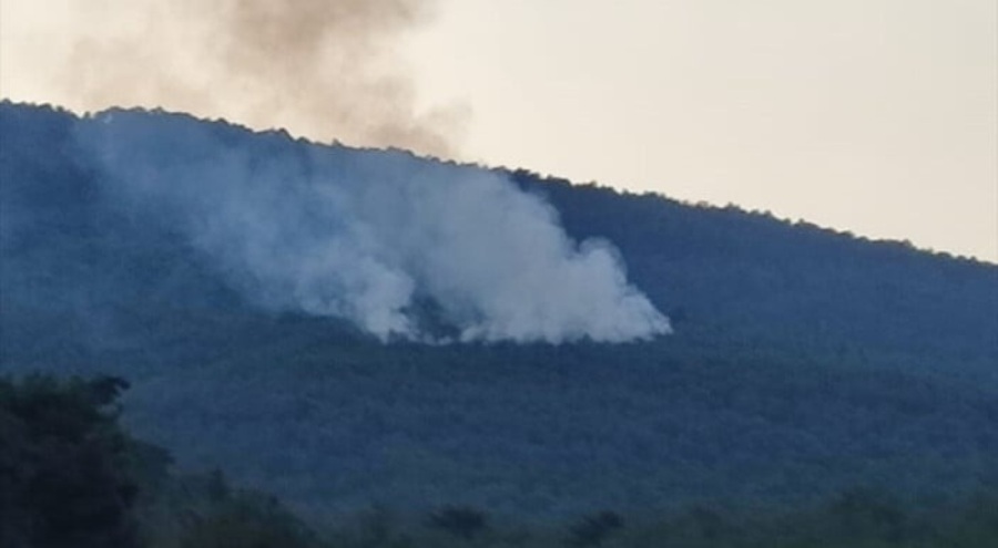 İzmir'de yıldırım yangına sebep oldu