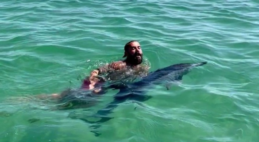 İstanbul'da yunus kurtarma operasyonu