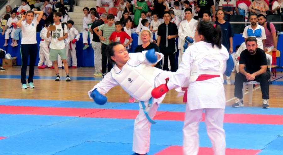 Bursa'da 290 sporcunun katılımıyla karate turnuvası gerçekleştirildi