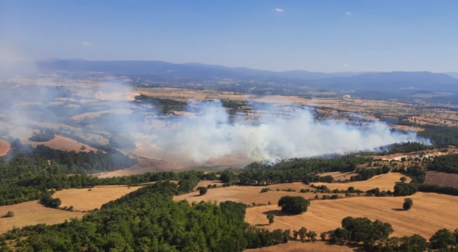 Çan'daki orman yangını kontrol altına alındı