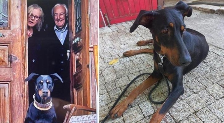 Korhan Berzeg'in esrarengiz kaybında senaryolar değişti! Herkes Tina'daki o detaya takıldı